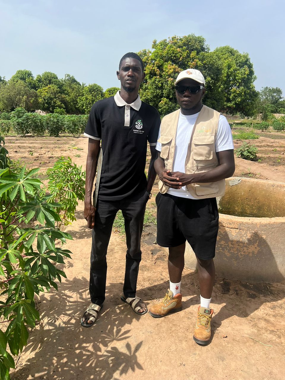 Produce crates loaded for delivery with QR labels