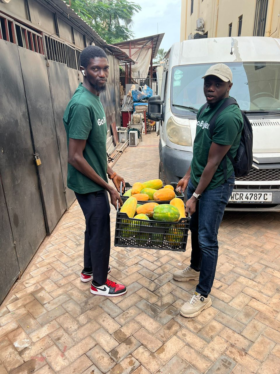 Drone photo of rice fields
