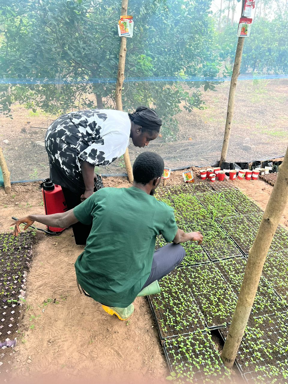 Technicians calibrating precision planters in the field