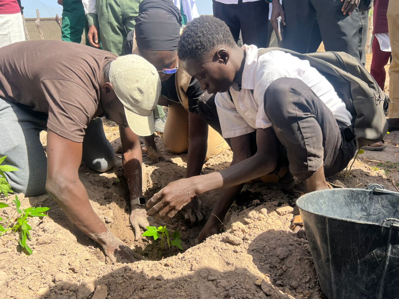 Papaya4Schools meeting