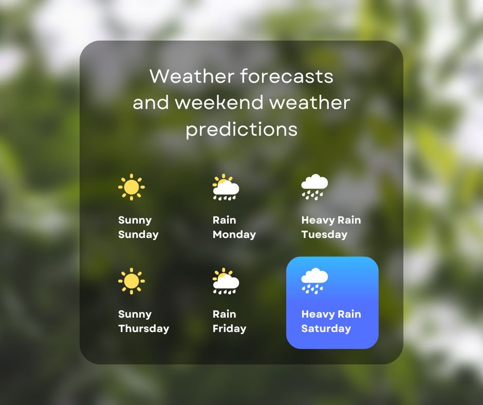 BayKart Weather Forecasting interface mockup